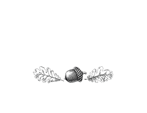 BASTA Logo